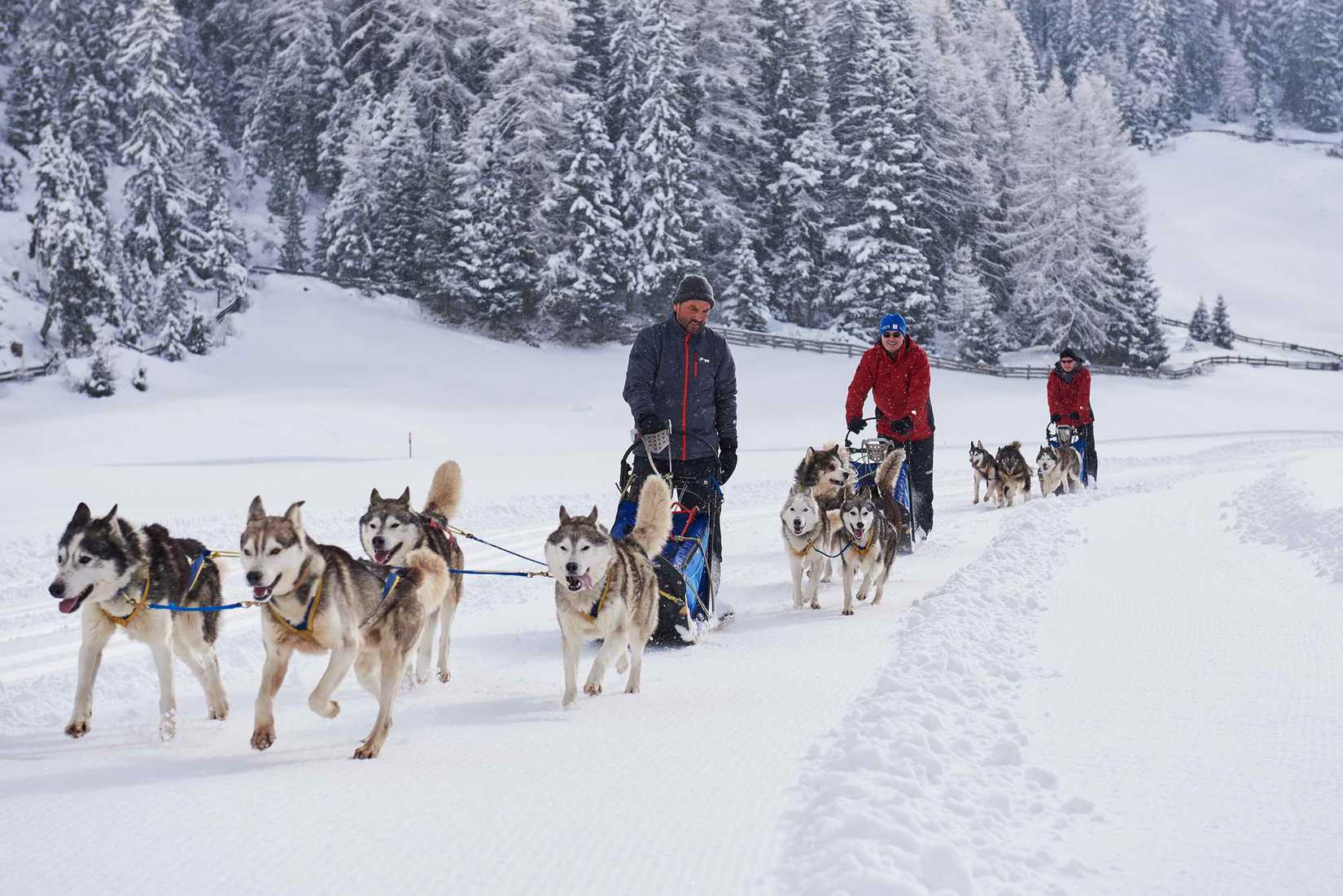 Winterliche Abenteuer: Von der Winterolympiade bis zum Trappertag